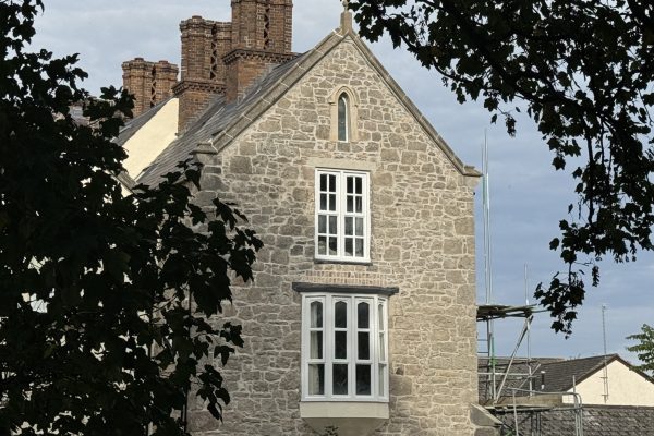 Hot Lime Pointed Elevation
